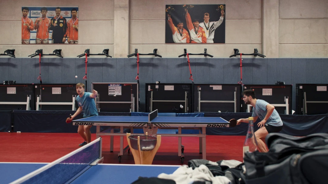 Ping Pong Paradise