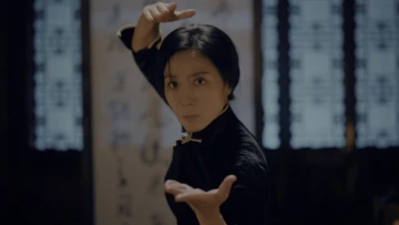 Ip Man Kung Fu Legend