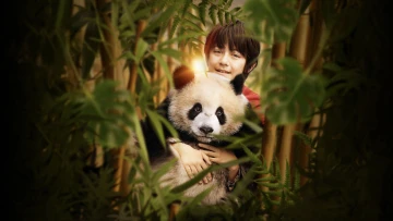 Panda a já