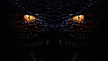 Anaconda