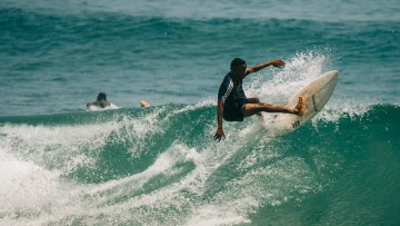 We The Surfers