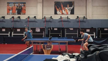 Ping Pong Paradise