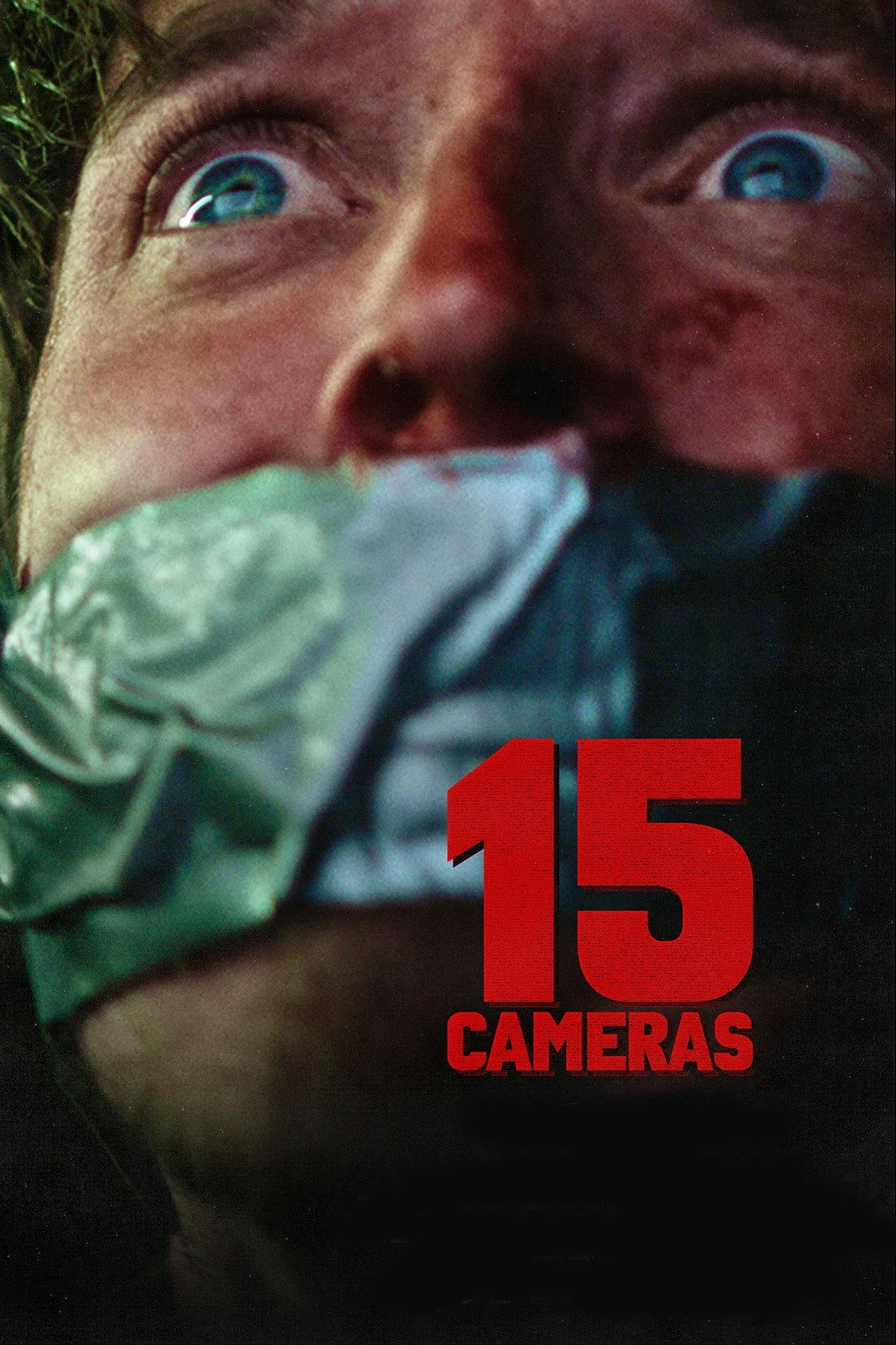 15 cámaras
