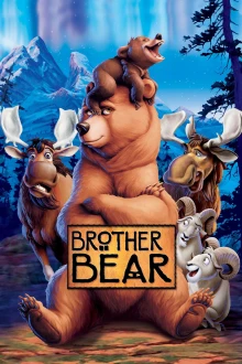Bärenbrüder