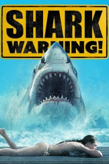 Shark Warning