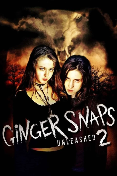 Zdjęcia Ginger II